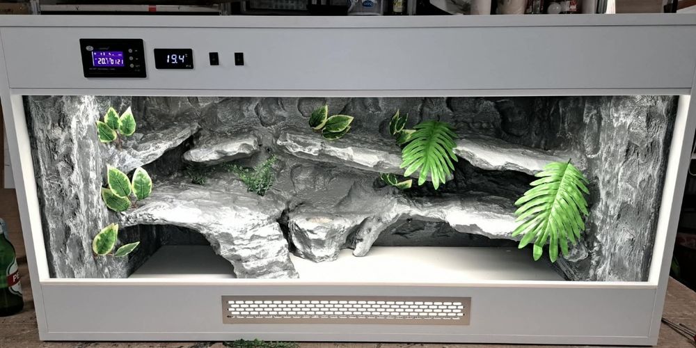 Terrarium promocja