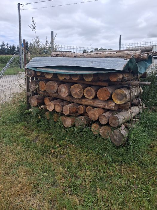 Drewno opalowe suche