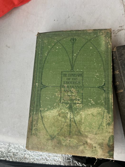 Livros muito antigios