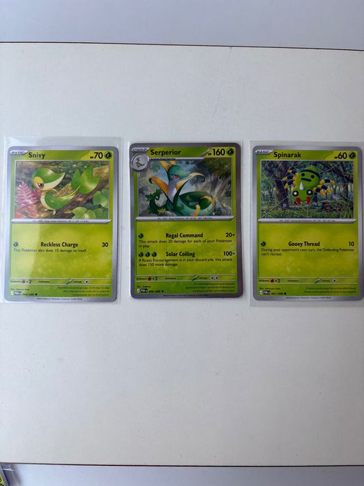 Pokémon - Perfect Order