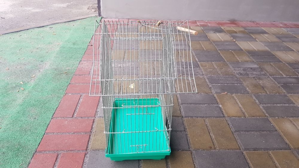 Клетка для попугая.