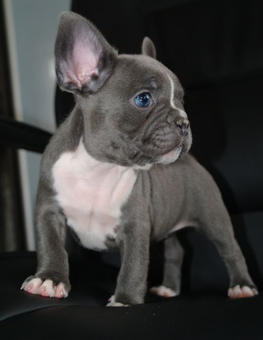 Шикарная девочка ждёт семью