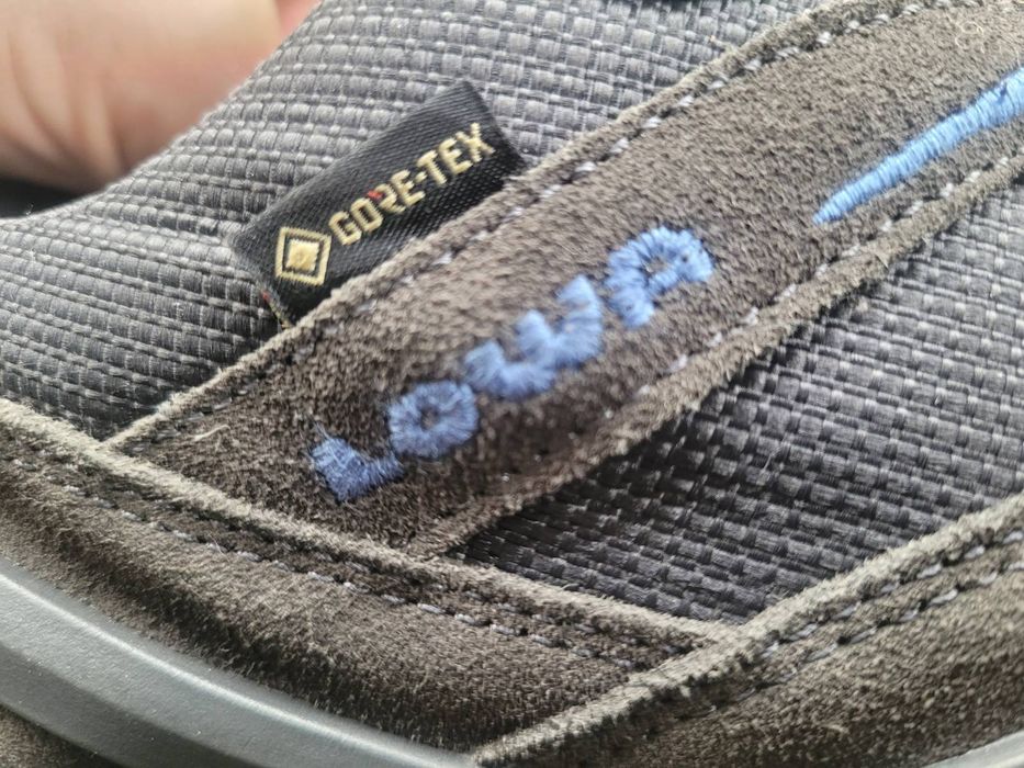 Lowa EVO GTX ботінки