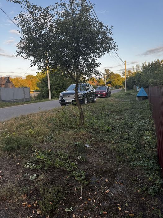 Продаж Будинок с. Кодня 50 сот землі