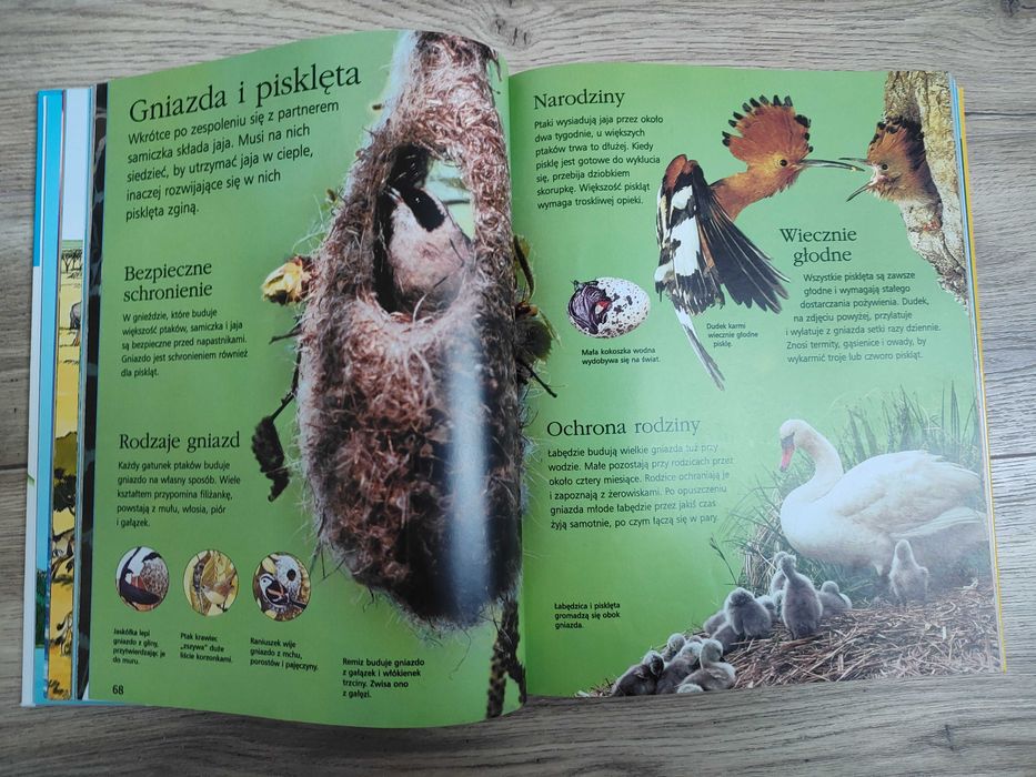 Encyklopedia wiedzy dla dzieci - Centrum Edukacji Dziecięcej - książka