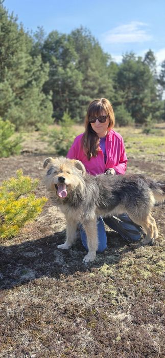 Fragles cudo misio kudłaty szuka chaty