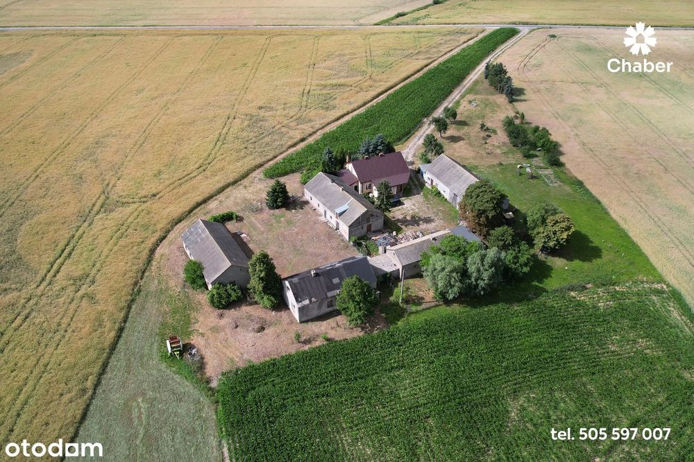 Siedlisko ok. 60 m2 z działką ok. 4800 m2 we wsi Kołatek.