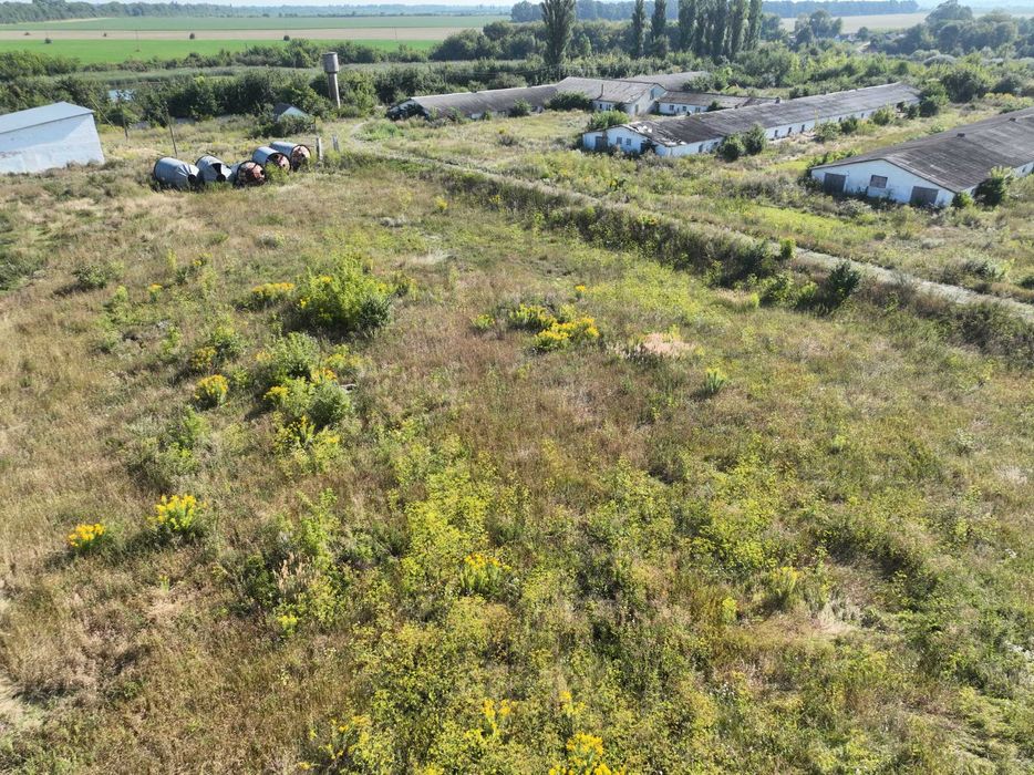 комплекс будівлі ферми