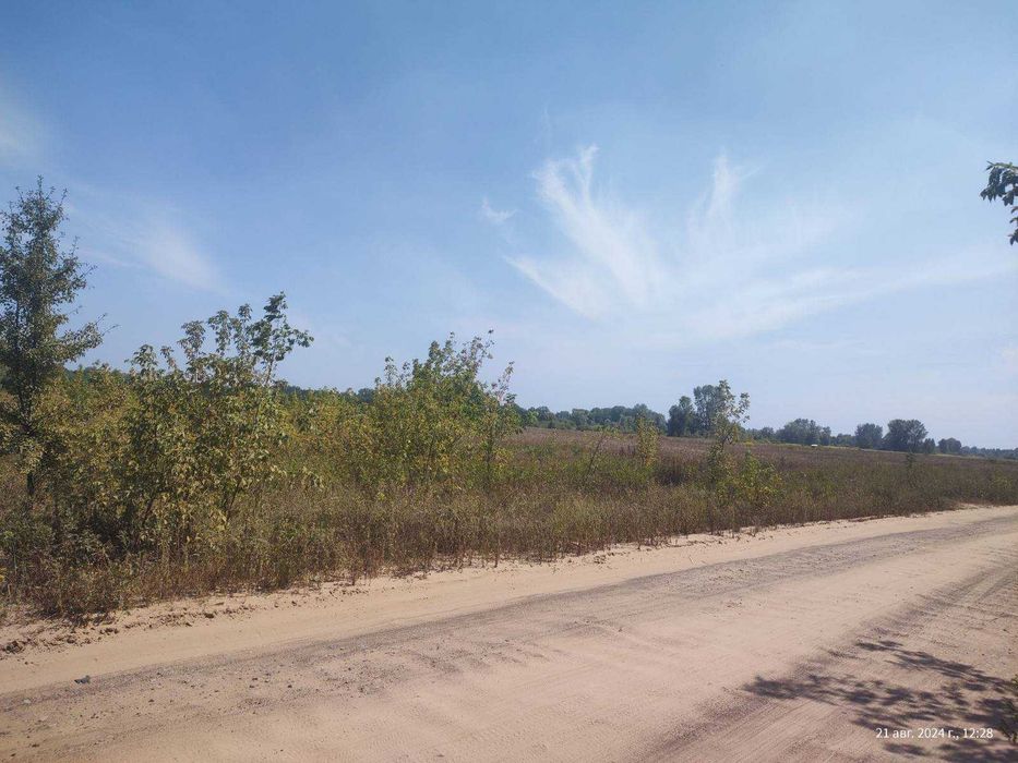 ‼️ ПРОДАЖ! Пай 2га в ПЕТРІВЦІ ‼️