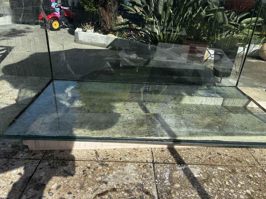 Aquario.