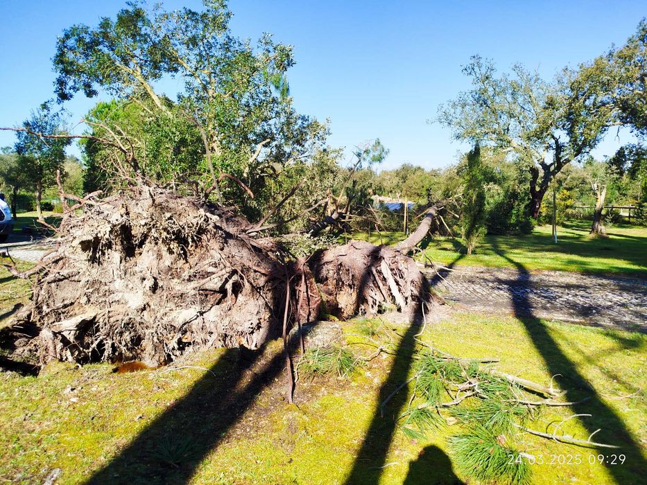 Serviços de Jardineiro Cascais / Estoril – Manutenção de Jardins