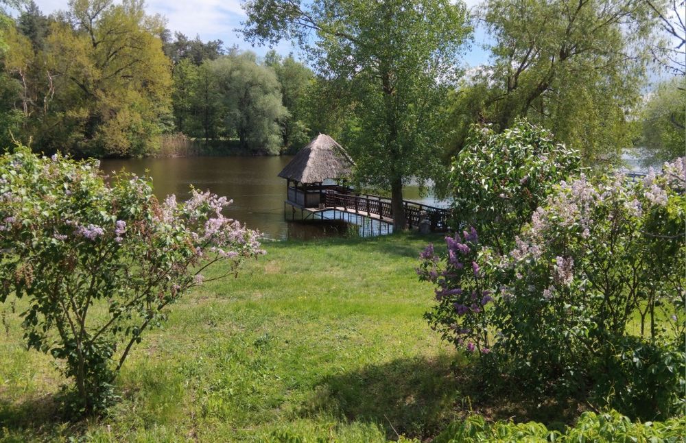 Будинок подобово Миргород