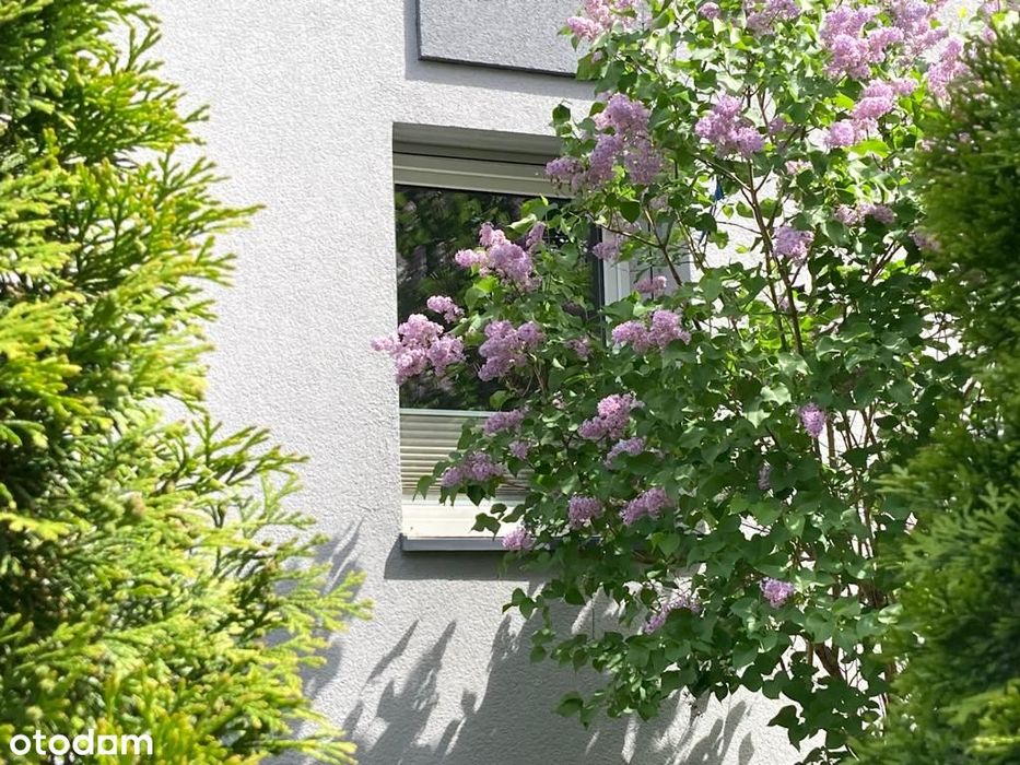 Stare Pogodno, niebanalne, z klimatyzacją i roletami.