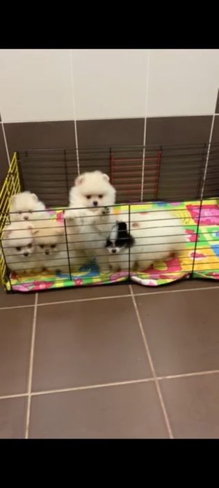 Мальчики и девочки