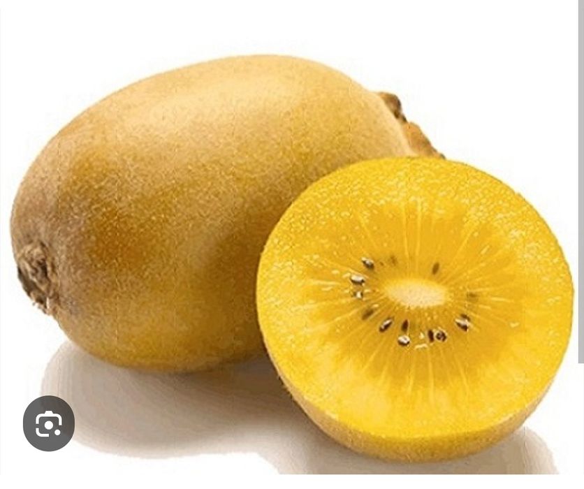 Kiwi gold amarelo super doce e grande