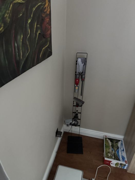 Dyson v12 detect slim absolute