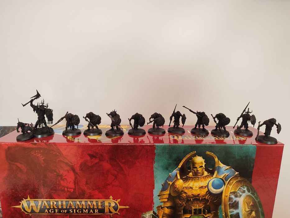 Warhammer Age of Sigmar Dominion + доп  Killaboss та Gutrippaz