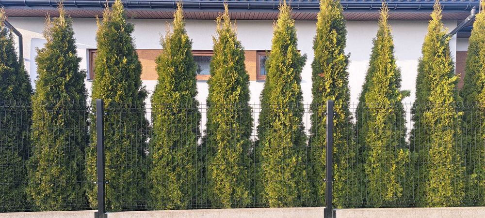 Kompletne Ogrodzenie Panelowe 3D.