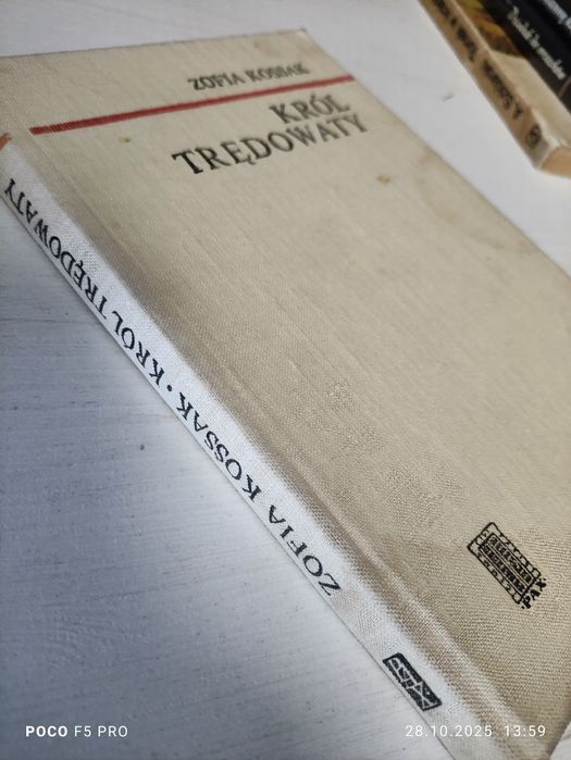 Król Trędowaty Zofia Kossak