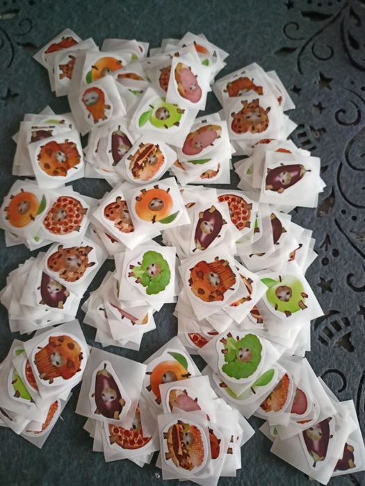 Naklejki koty, śmieszne kotki