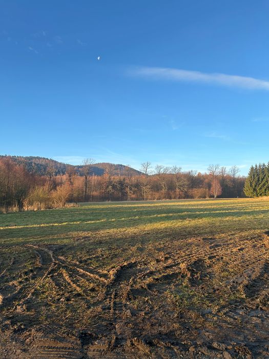 Działka z warunkami zabudowy - Widok 3