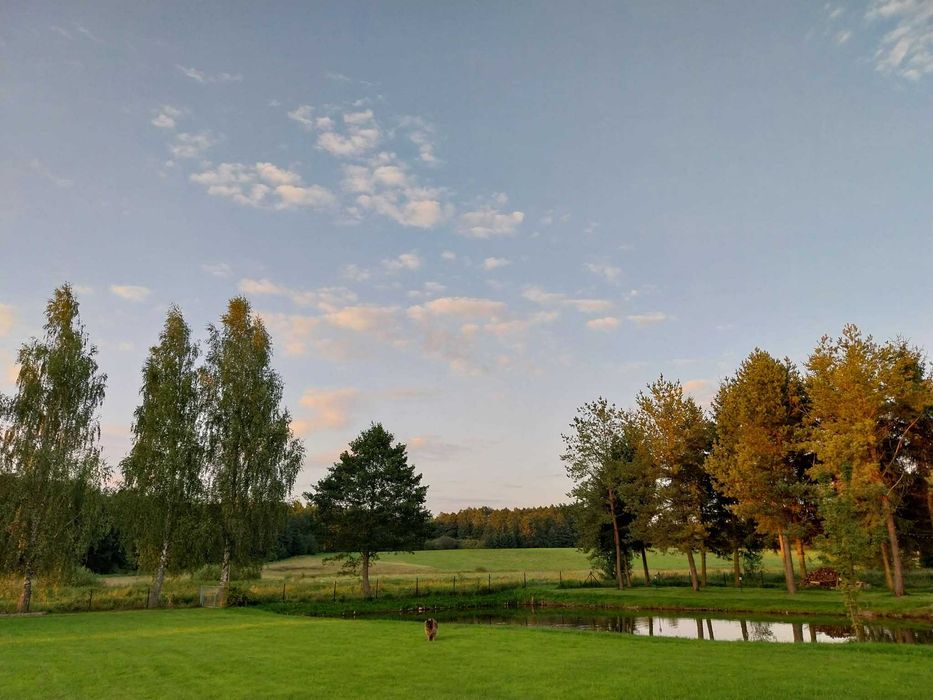 Domek letniskowy Agronoclegi Kierz 15