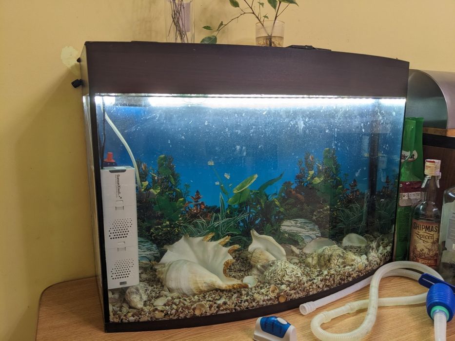 Акваріум з фільтром та обігрівачем за символічні гроші