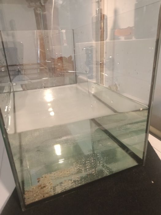 Akwarium terrarium, dla chomika