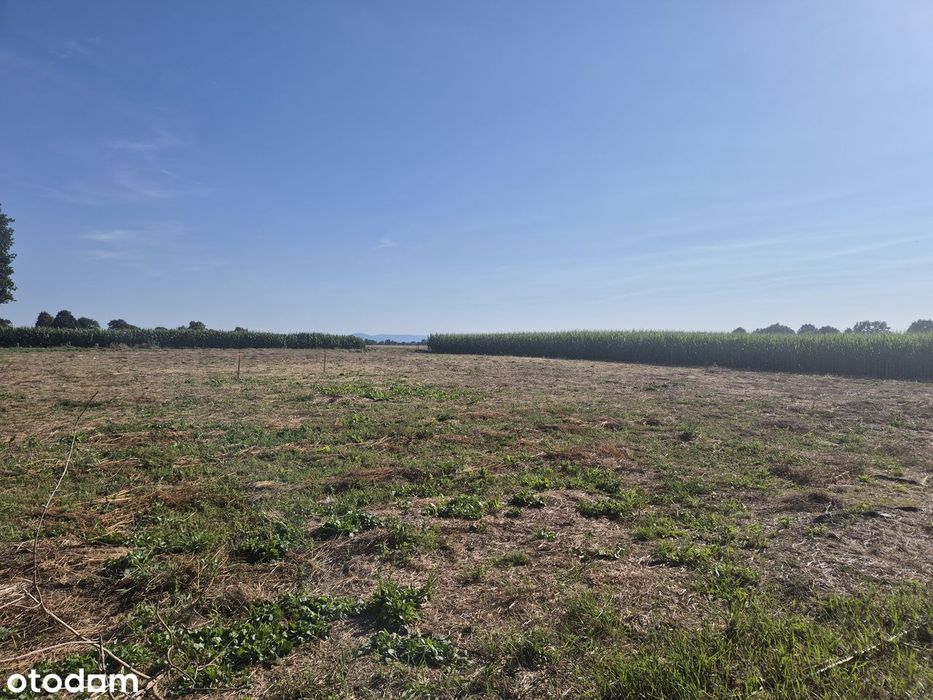 Działka budowlana 1000 m² z widokiem na Góry Opawskie i Pradziada