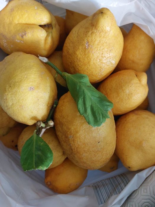 Limões Biológicos