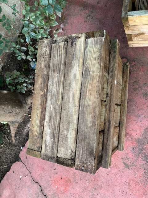 Horta Vaso sementeira madeira