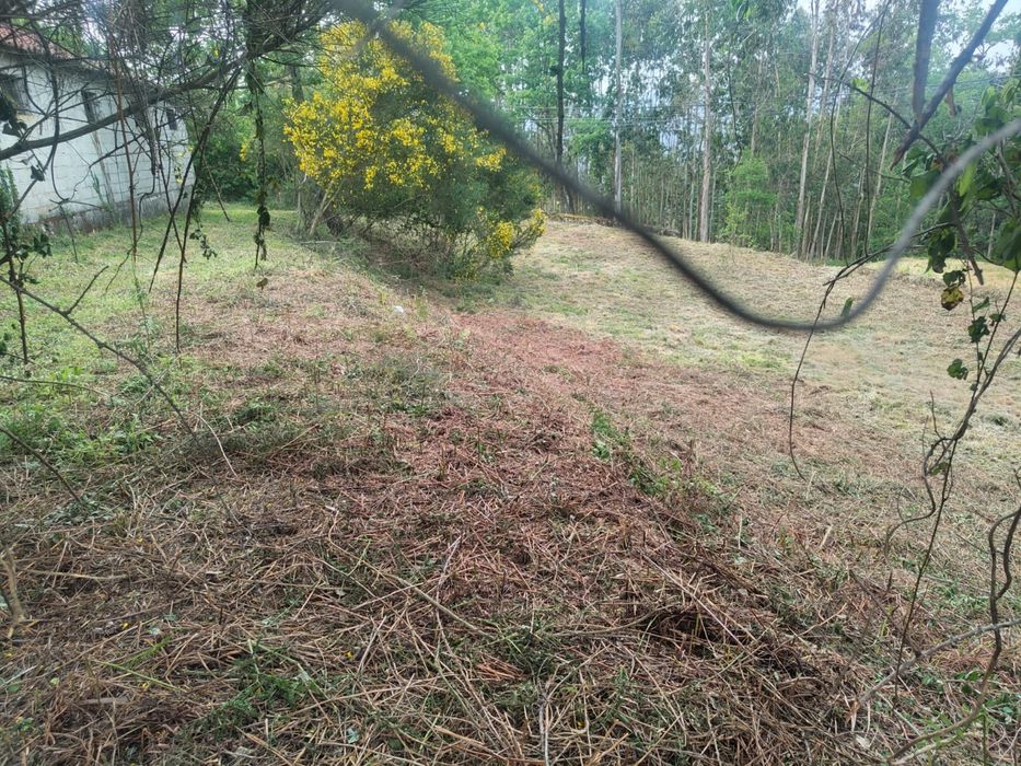 Terreno 1000 m² com construção – São Vicente de Lafões | Perto da A25 | Oportunidade