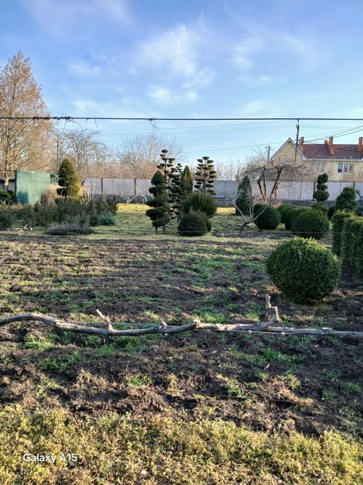 Продам 12сот земли,угловой, в Молодежном,цена 55т$