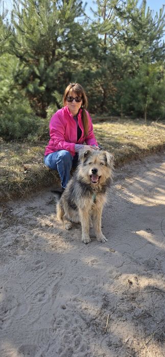 Fragles cudo misio kudłaty szuka chaty