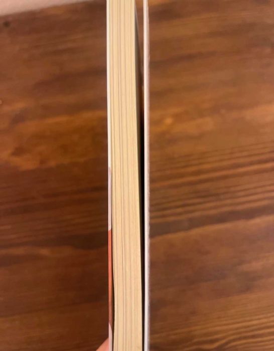 Livro Barriga Fit NOVO