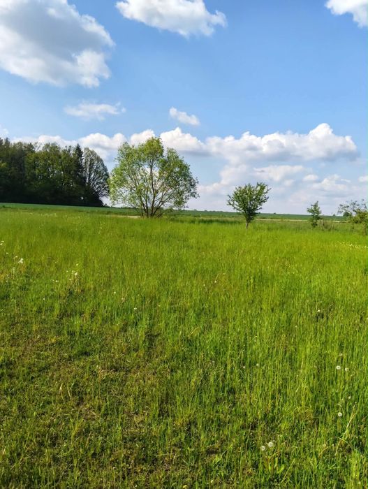 Działki budowlane