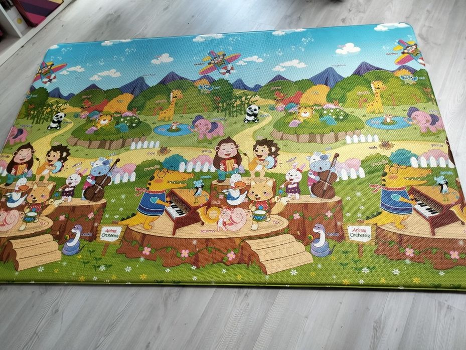 Mata Dwinguler duża