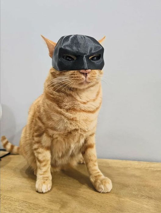 Máscara do Batman para Gato