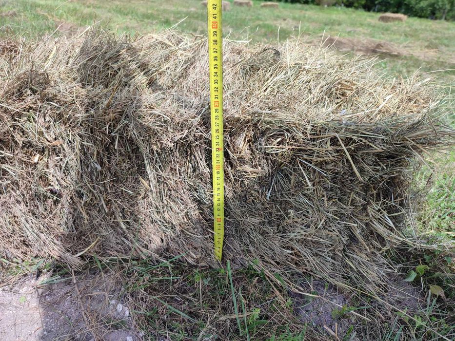 Продам сіно, тюки сіна (великі)