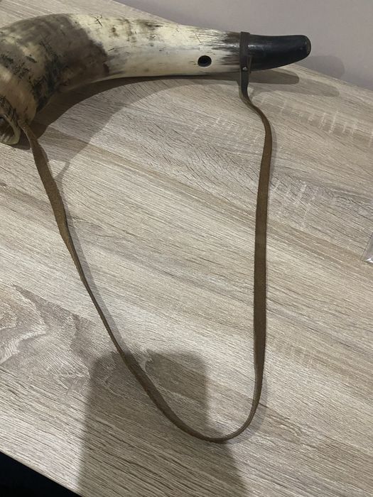 Corno raro de porte grande