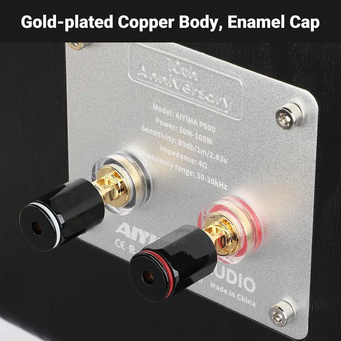 пасивна HI-FI акутика AIYIMA P600 (6,5 дюймів)