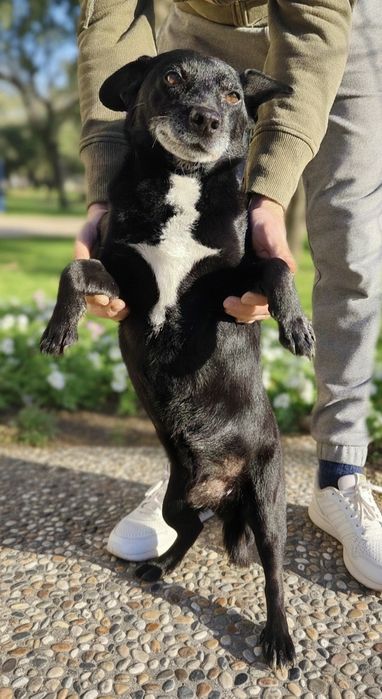 Adoção consciente: Oliver