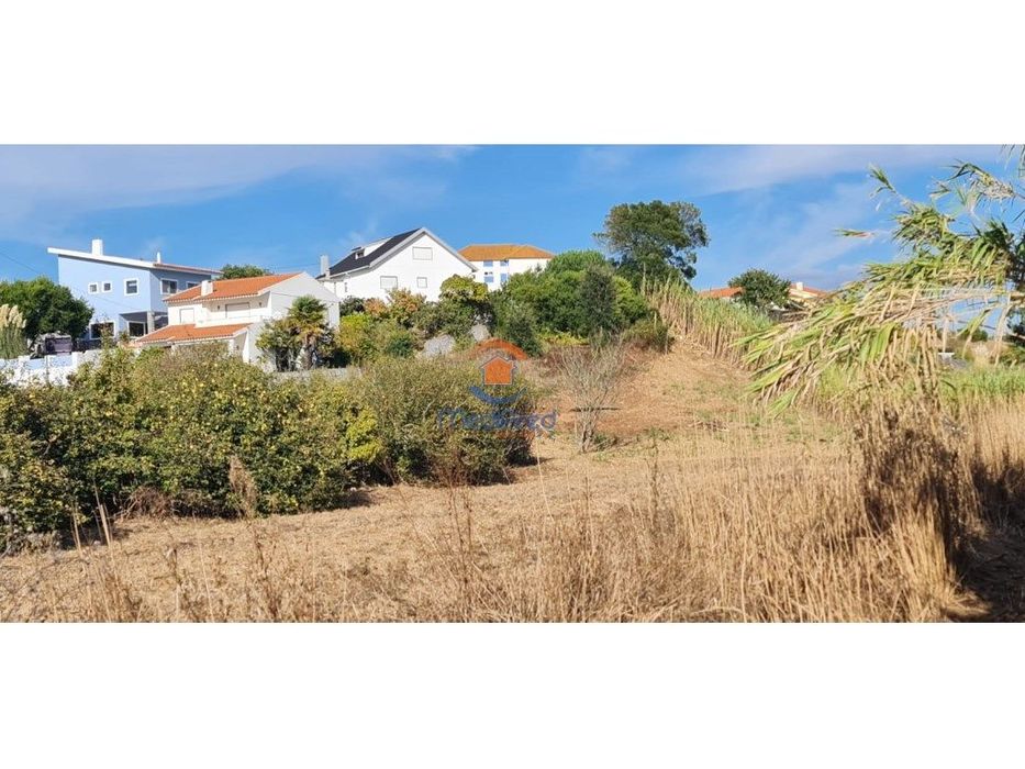 Terreno agrícola 6.000 m2 | A dos Cunhados, Torres Vedras