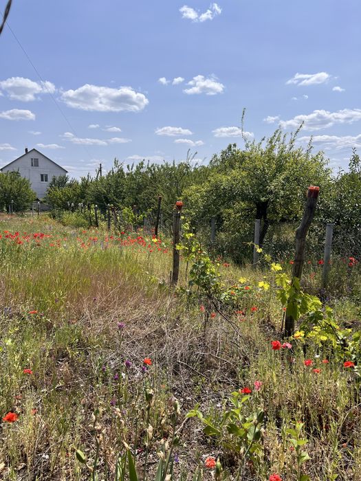 Продам земельну ділянку 12 соток м . Златопіль Харківська обл.