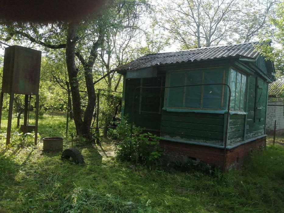 Дача Пролетарський гай (Силікатний з-д) між двома мостами р.Десни