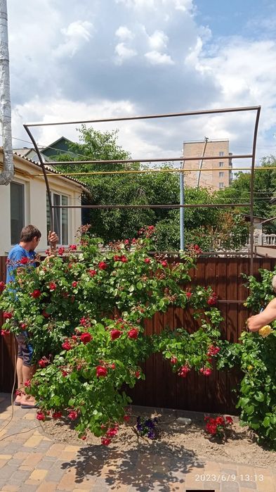 Арки,перголи, шпалери,під рози та виноград