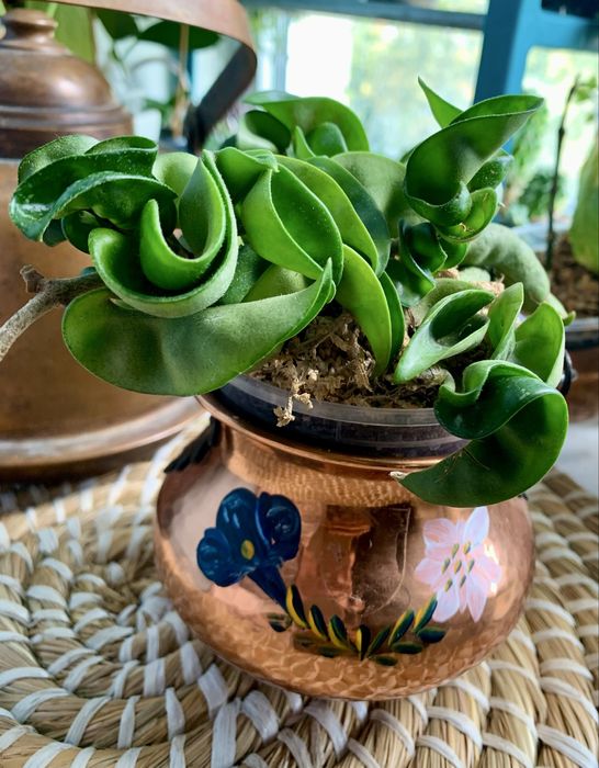 Антикваріат Мідний вінтажний чайник ретро вазон декор кашпо