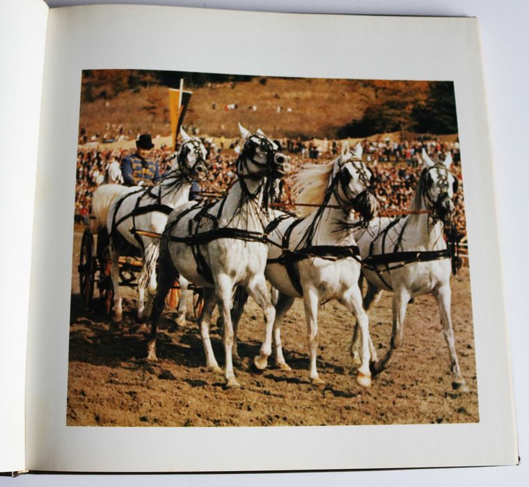 ARTE EQUESTRE Kinder des Windes (Filhos do Vento), em alemão