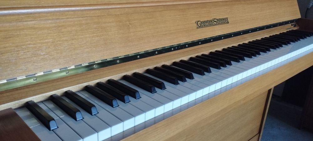 Piano Grotian-Steinweg Transporte e Afinação incluídos