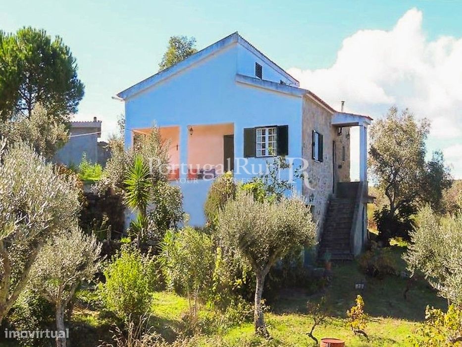 Quintinha de 1,5 ha com Moradia T1 e varias ruínas em Escalos de Baixo